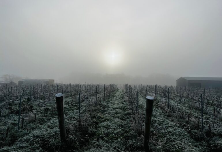 A Modern Irish Winery