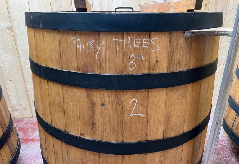 Our Wines